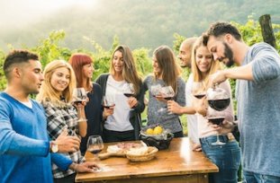 Group-in-vineyard.jpg